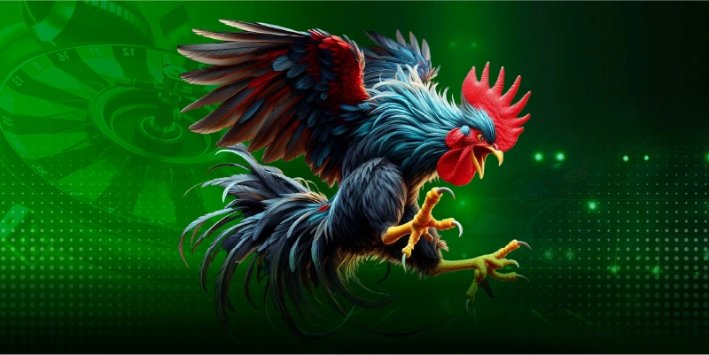 Các mẹo đá gà mà anh em cần tham khảo để dễ dàng chiến thắng